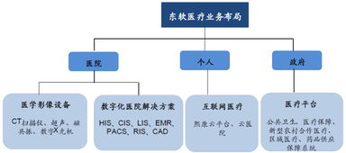 東軟集團 深耕醫療信息化，構建“三駕馬車”驅動的數字未來