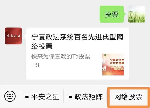 寧夏政法系統百名先進典型網絡投票活動正式啟動，誠邀公眾踴躍參與